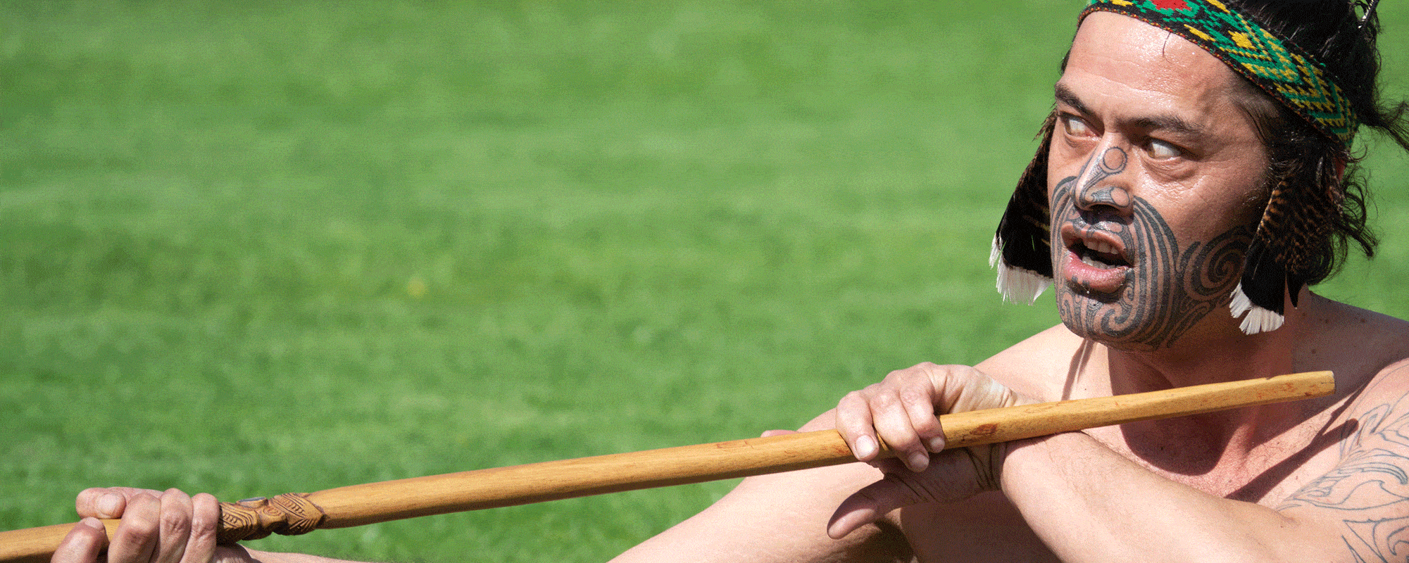 Maori Mataatua